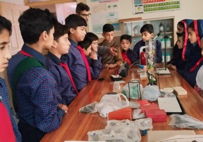 IMG_20240616_084153_210-1