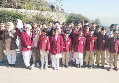 WhatsApp-Image-2024-08-15-at-16.53.26