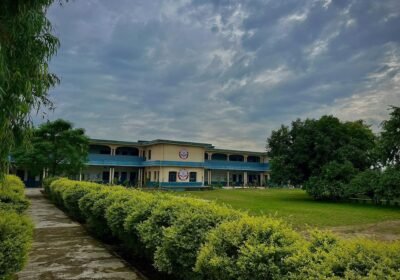 WhatsApp-Image-2024-08-23-at-16.46.17